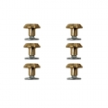 Scoot ADJUST / ENDURO / THERARIDE Bulb Strap Screw Pack
